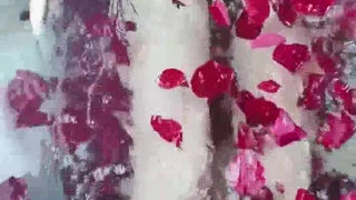 祖宗十九代下载