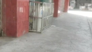 崽崽酱有韵味三月三十一号