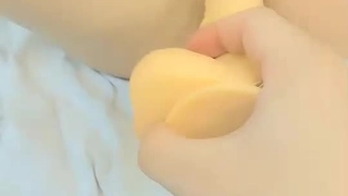 来自放荡的红发女郎，他喜欢燕子暨