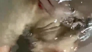 极品颜值苗条长腿美女